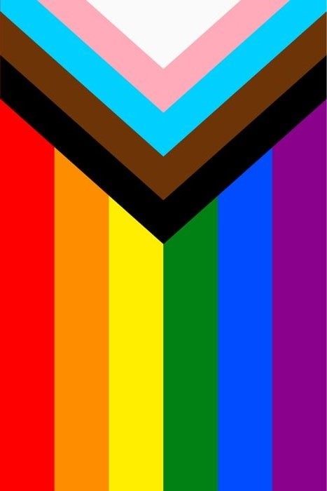 Pride Flag Topdown Mirrored